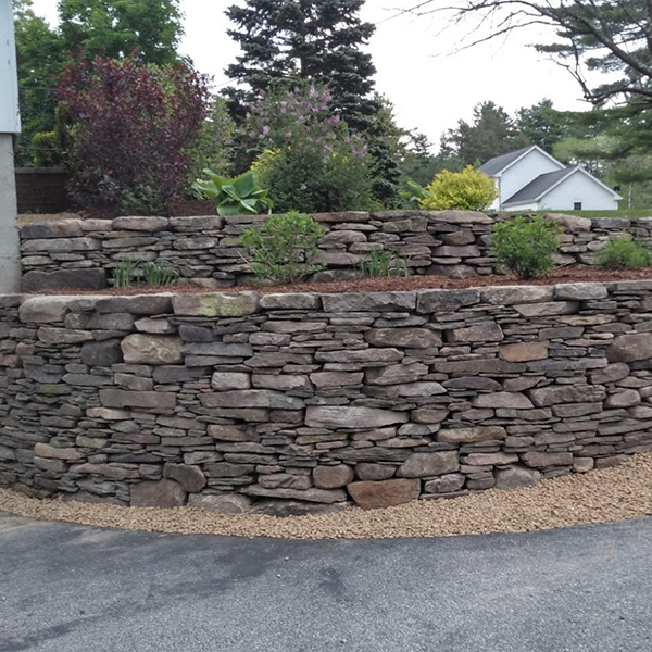 New England Fieldstone Terrace Walls and Planting by DeJohn Landscaping in Concord NH